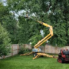 Professional Tree Removal and Landscaping Services in Bloomfield Hills, MI